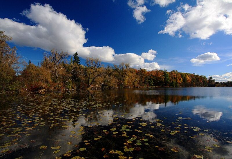 King Township